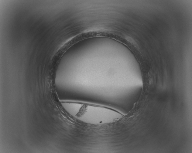 X0000067850872200604201305