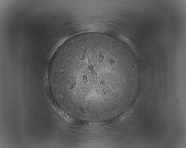 X0000067850875200604201305