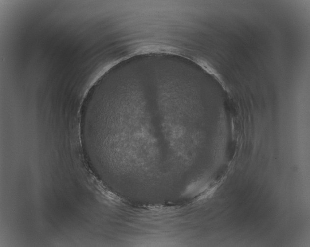 X0000067850877200604201305