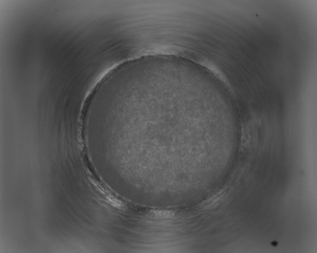 X0000067850878200604201305