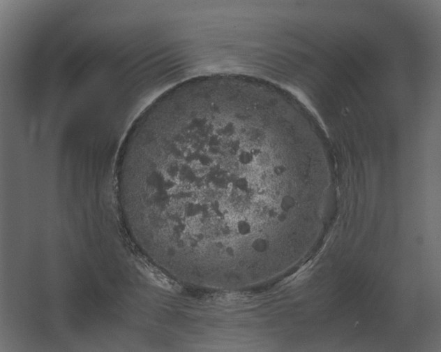 X0000067850879200604201305