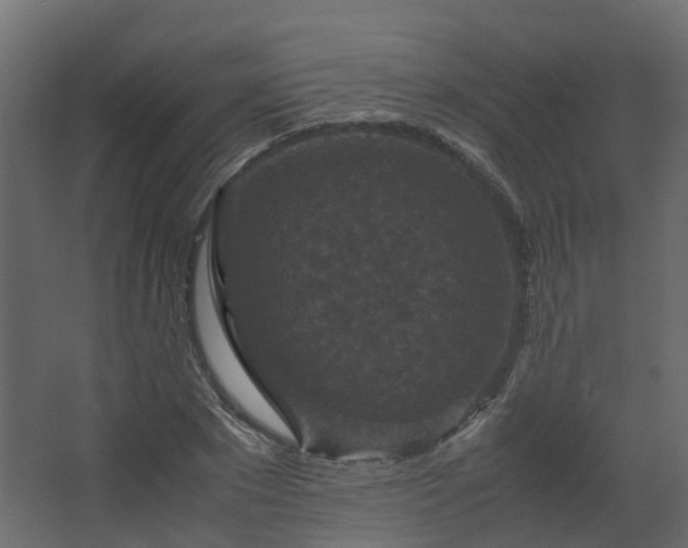 X0000067850881200604201304