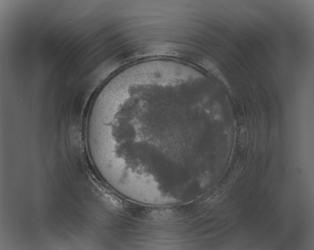 X0000067850882200604201304