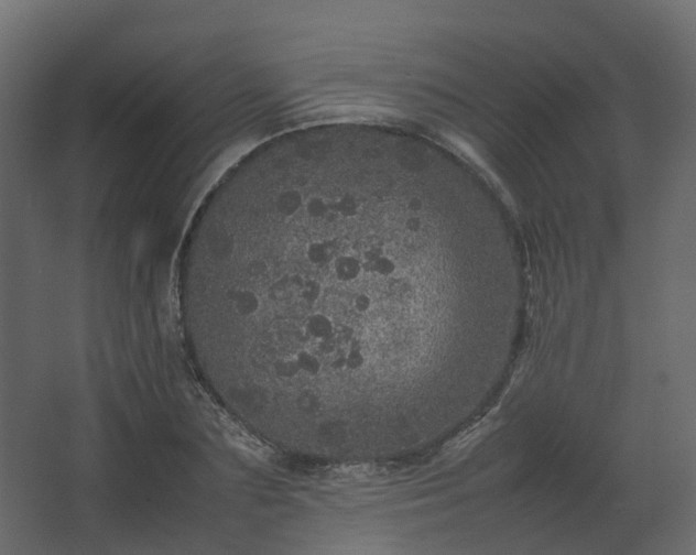 X0000067850883200604201304