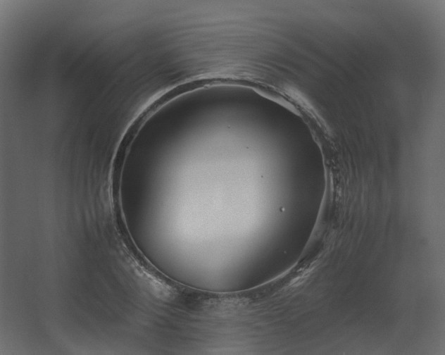 X0000067850884200604201304