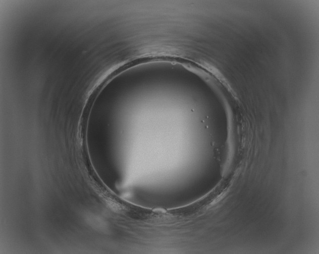 X0000067850885200604201304