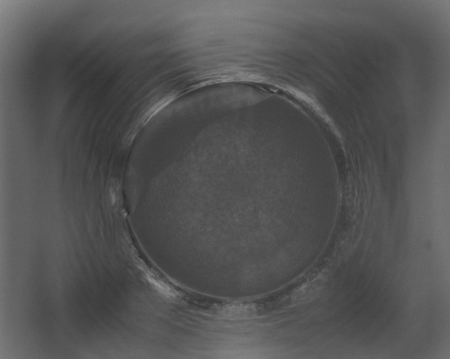 X0000067850889200604201304