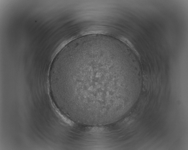 X0000067850890200604201304