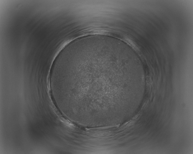 X0000067850891200604201304