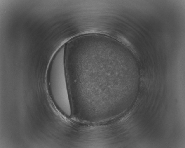 X0000067850892200604201304