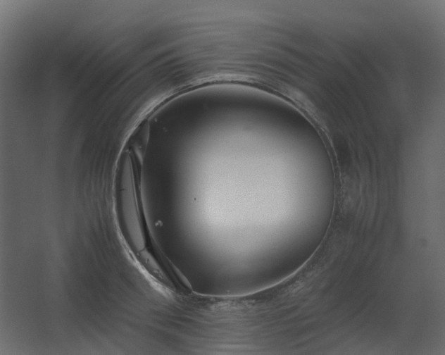 X0000067850898200604201304