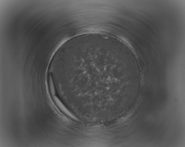 X0000067850899200604201304