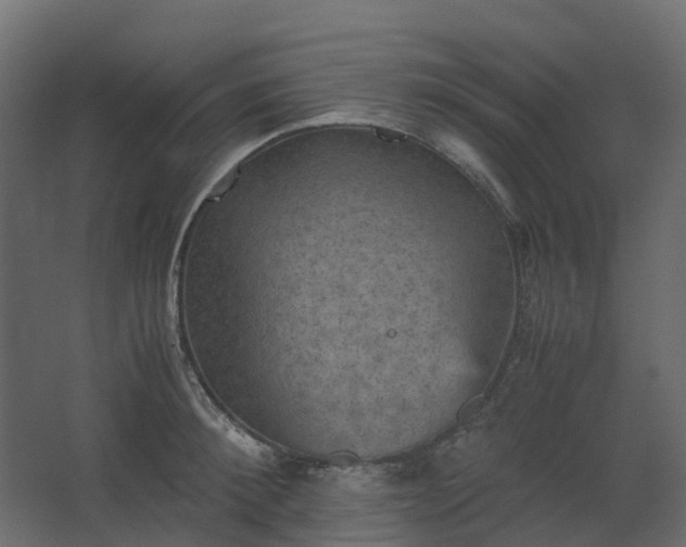 X0000067850900200604201304