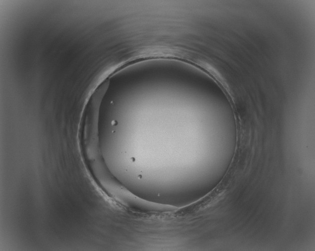 X0000067850901200604201304