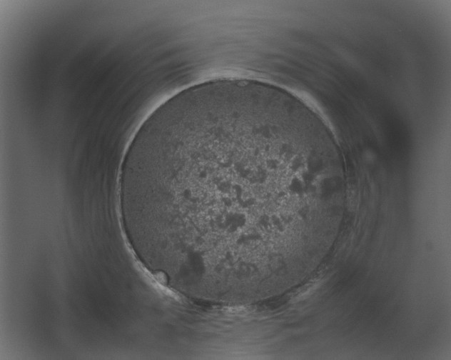 X0000067850903200604201304