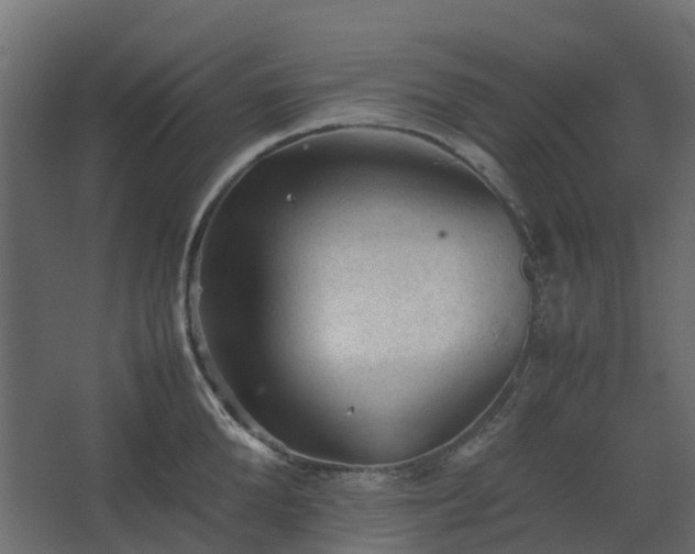 X0000067850904200604201304