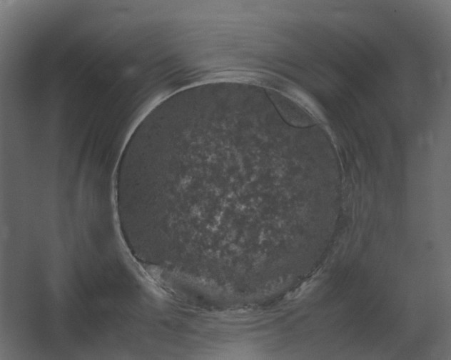 X0000067850907200604201304