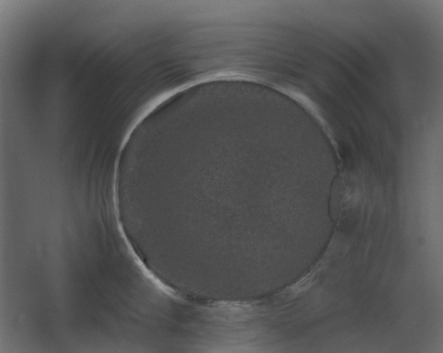 X0000067850910200604201304