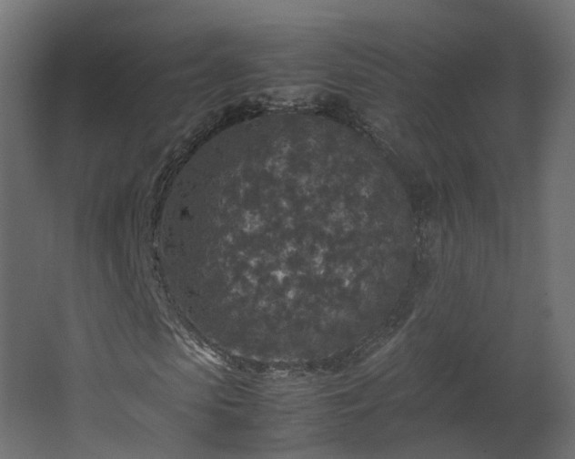 X0000067850913200604201303