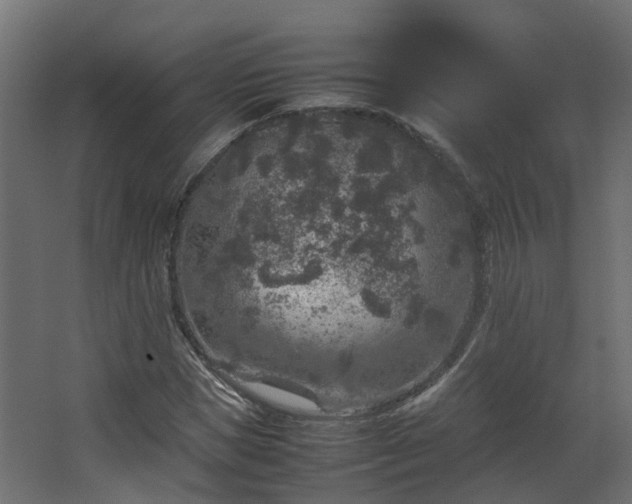 X0000067850921200604201303