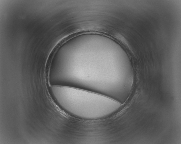 X0000067850924200604201303