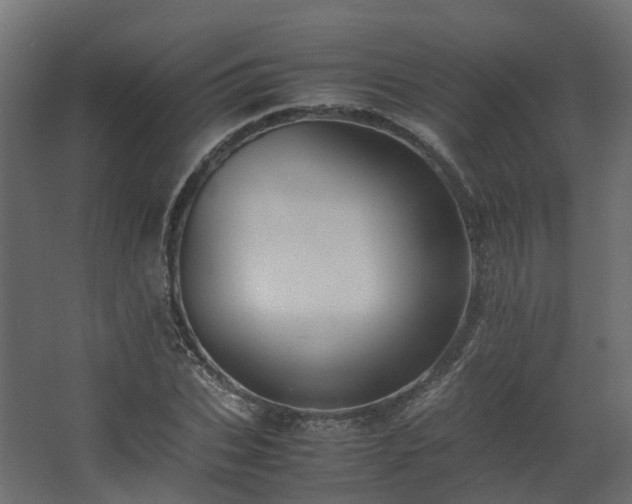 X0000067850927200604201303