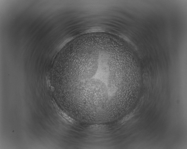 X0000067850929200604201303