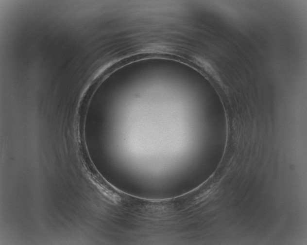 X0000067850931200604201303