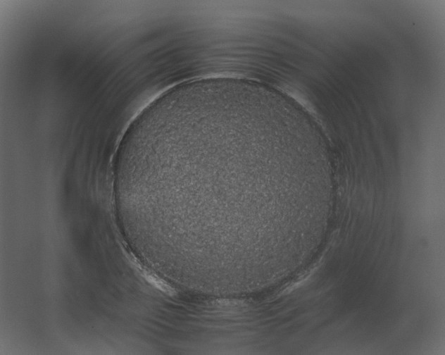 X0000067850933200604201303