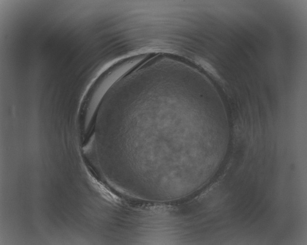 X0000067850934200604201304