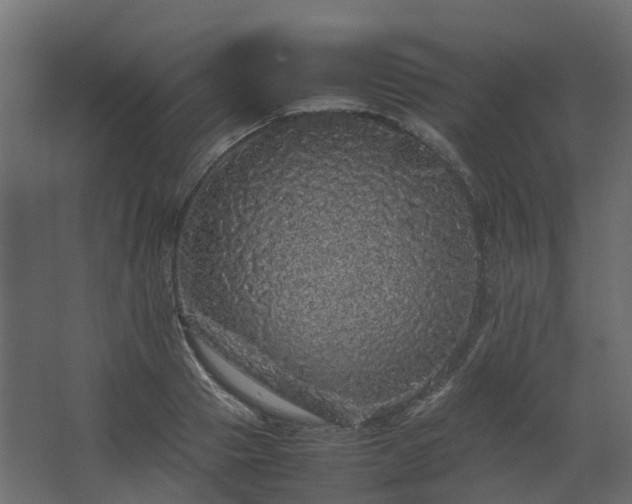 X0000067850937200604201304