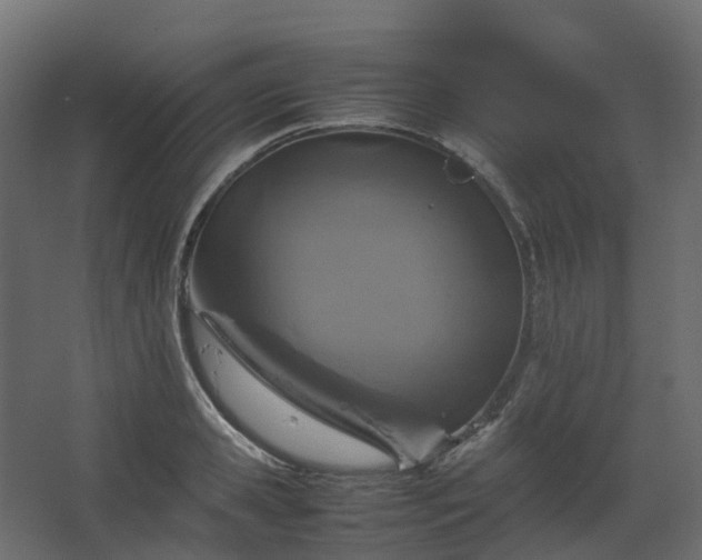 X0000067850941200604201304