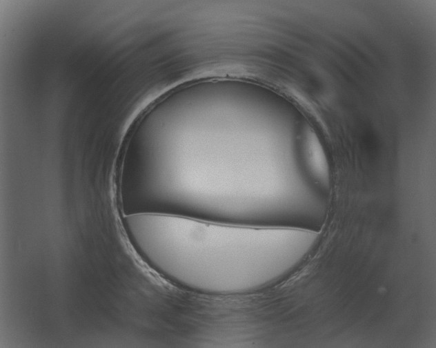 X0000067850944200604201304