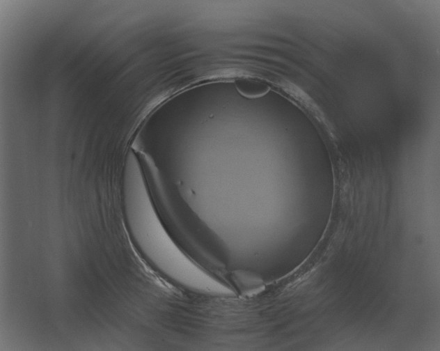 X0000067850945200604201304