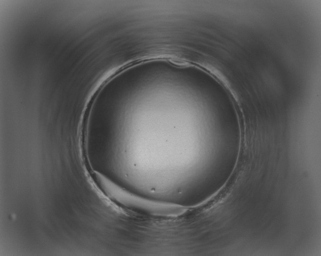 X0000067850949200604201304