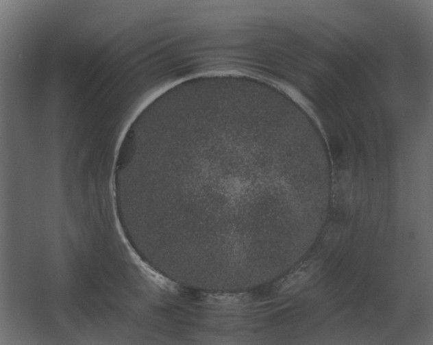 X0000067850951200604201304