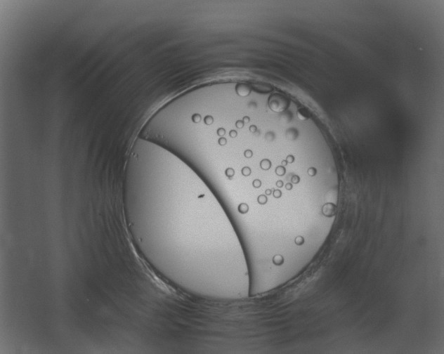 X0000067850953200604201304