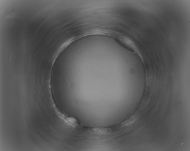 X0000067850954200604201304