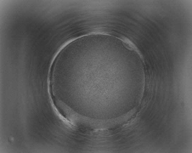 X0000067850955200604201304