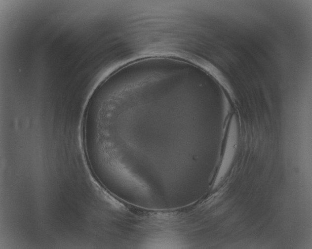 X0000067850958200604201304