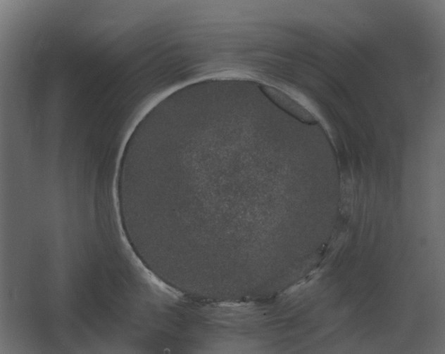 X0000067850959200604201304