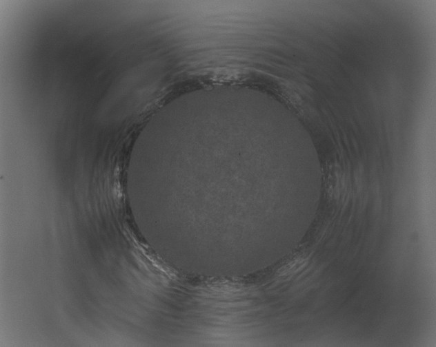 X0000067850962200604201303