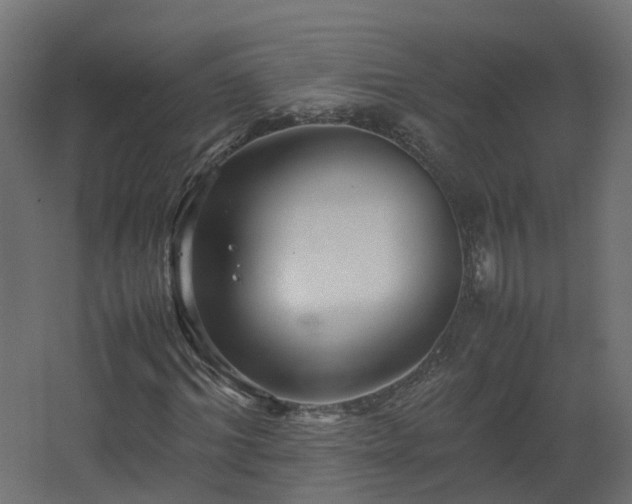 X0000067850964200604201303