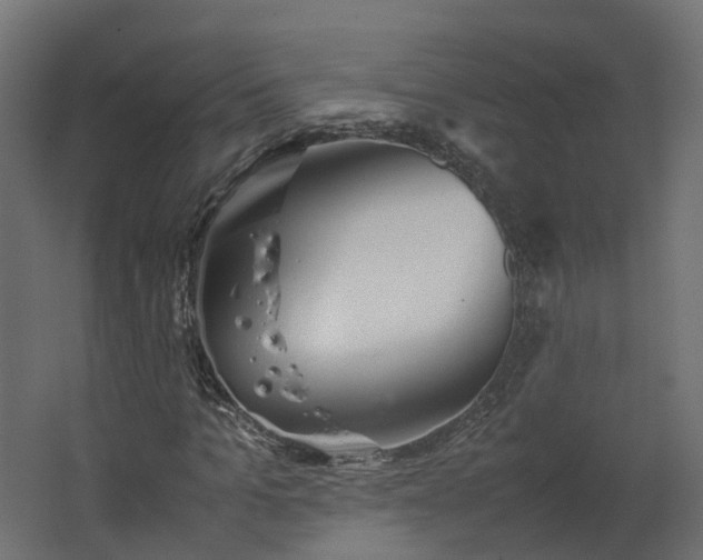 X0000067850965200604201303