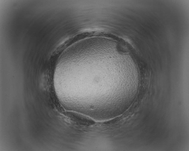 X0000067850967200604201303