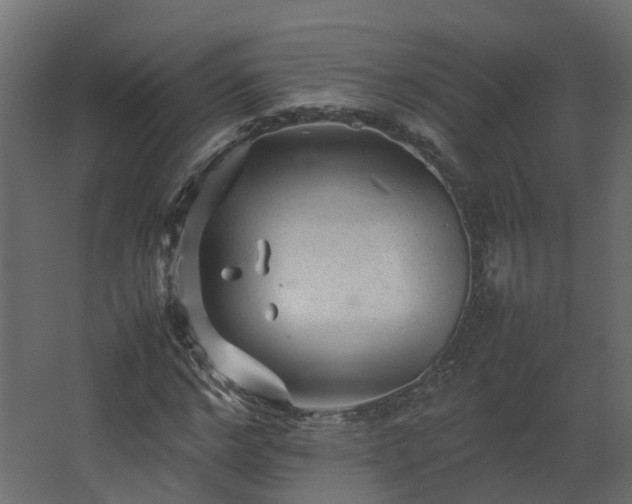 X0000067850968200604201303