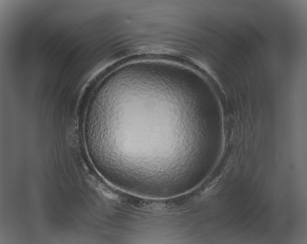 X0000067850971200604201303