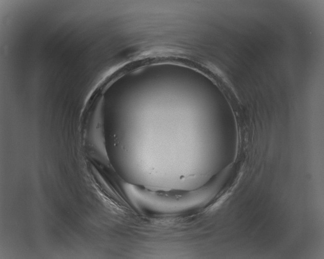 X0000067850973200604201303