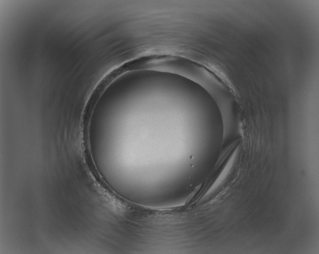 X0000067850976200604201303