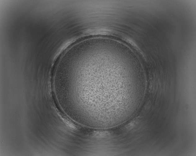 X0000067850978200604201303